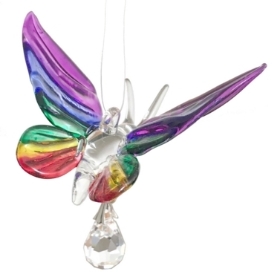 Fantasy Glass Butterfly  Tropical