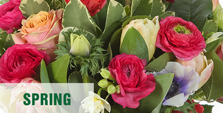 Spring Flowers Bridgwater